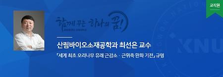 최선은교수